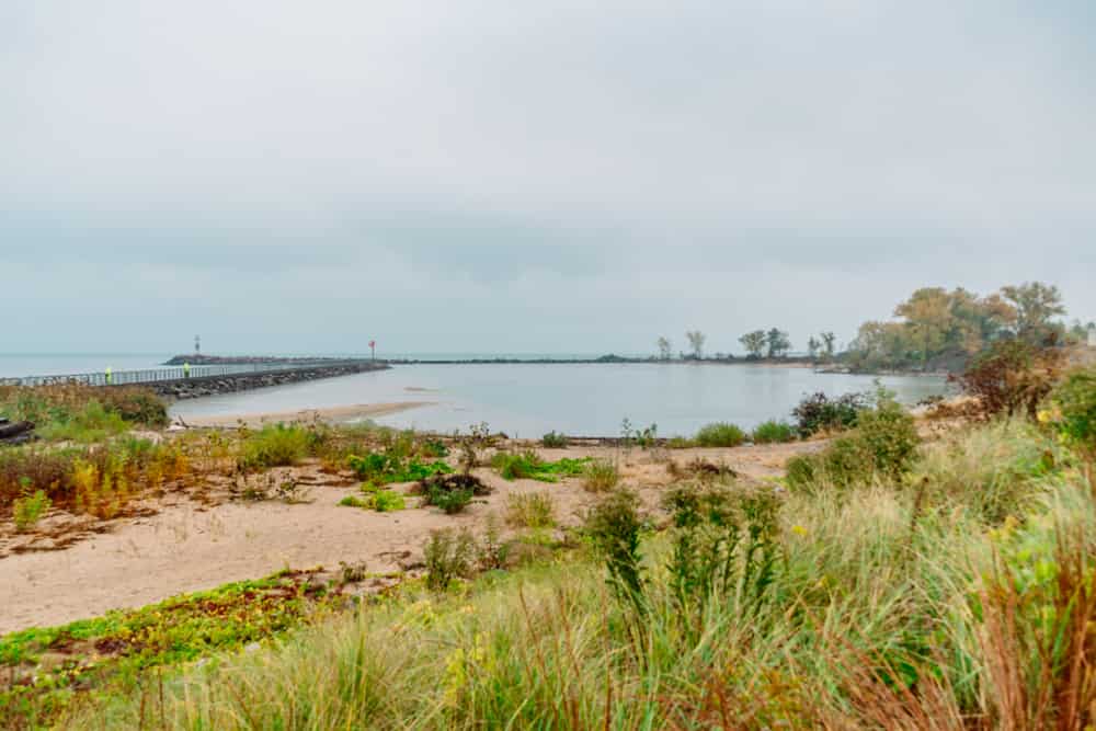 a deep sandy path leads to a pool of water at Indiana Sand Dunes National Park.  The path is surrounded by grass