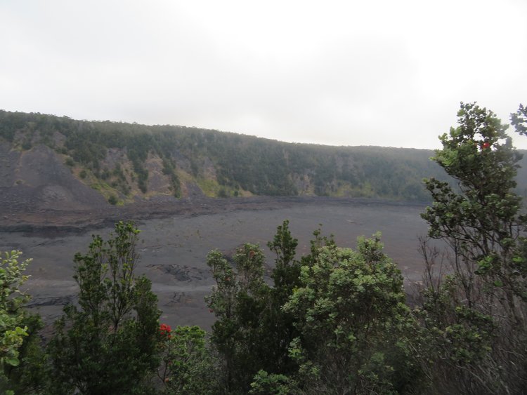 Trees are in the foreground with a grey volcanic crater in the background