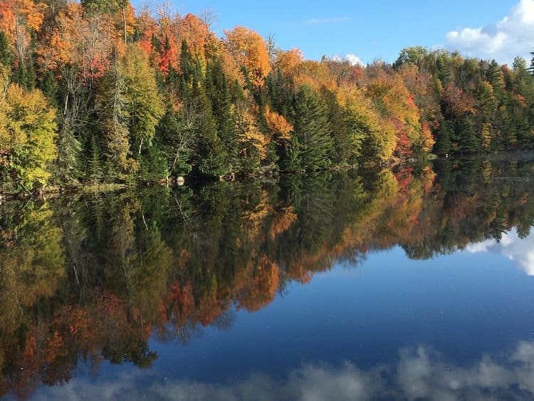 Trees have orange and yellow leaves and reflect in a blue calm lake in the Adirondack Mountains