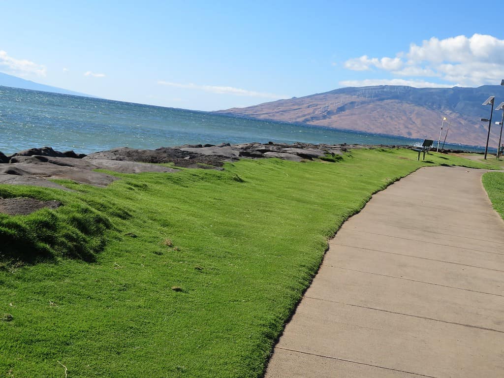 a brown paved sidewalk runs parallel to a grassy area that hugs the volcanic shoreline.  The Pacific ocean is on the left and a mountain is in the background on the right.