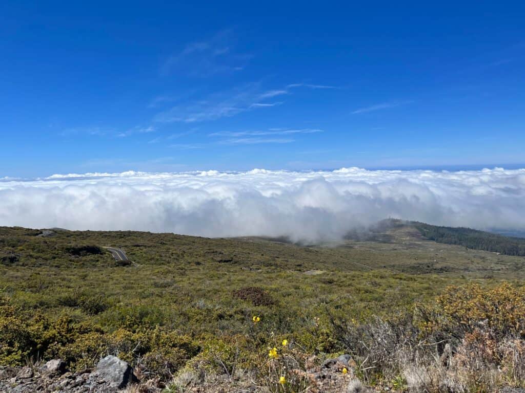 a bright blue sky is above white puffy clouds that hover low over a green ground