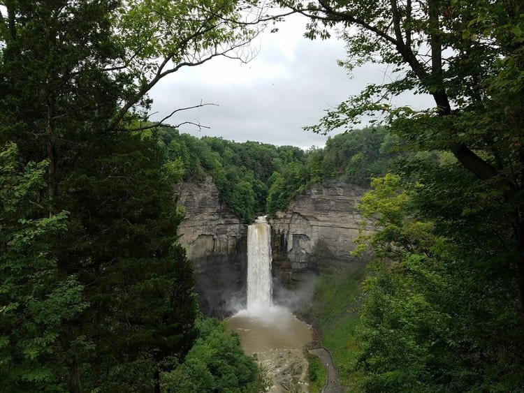 green trees frame the picture and beyond them is a rocky gorge with a waterfall descending into a river in the middle of the picture