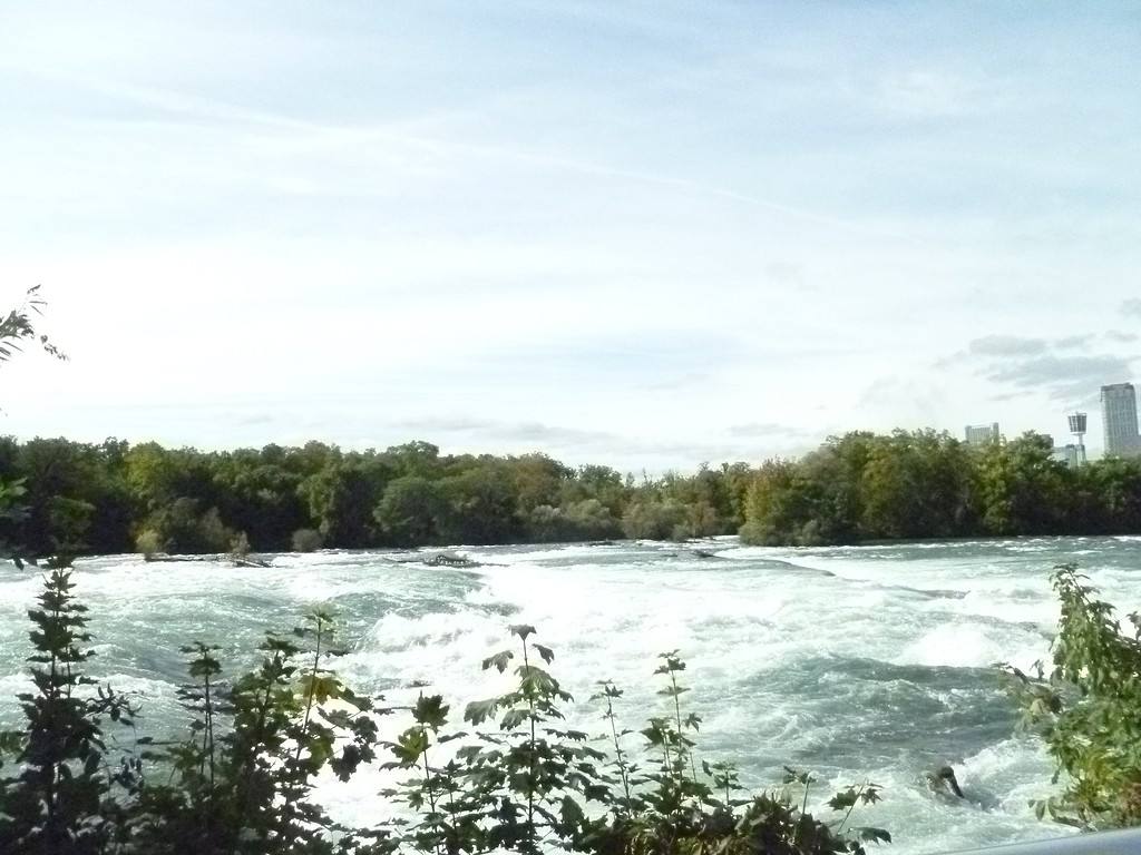 White water rapids in a river leading up to Niagara Falls as seen from a wheelchair accessible trail