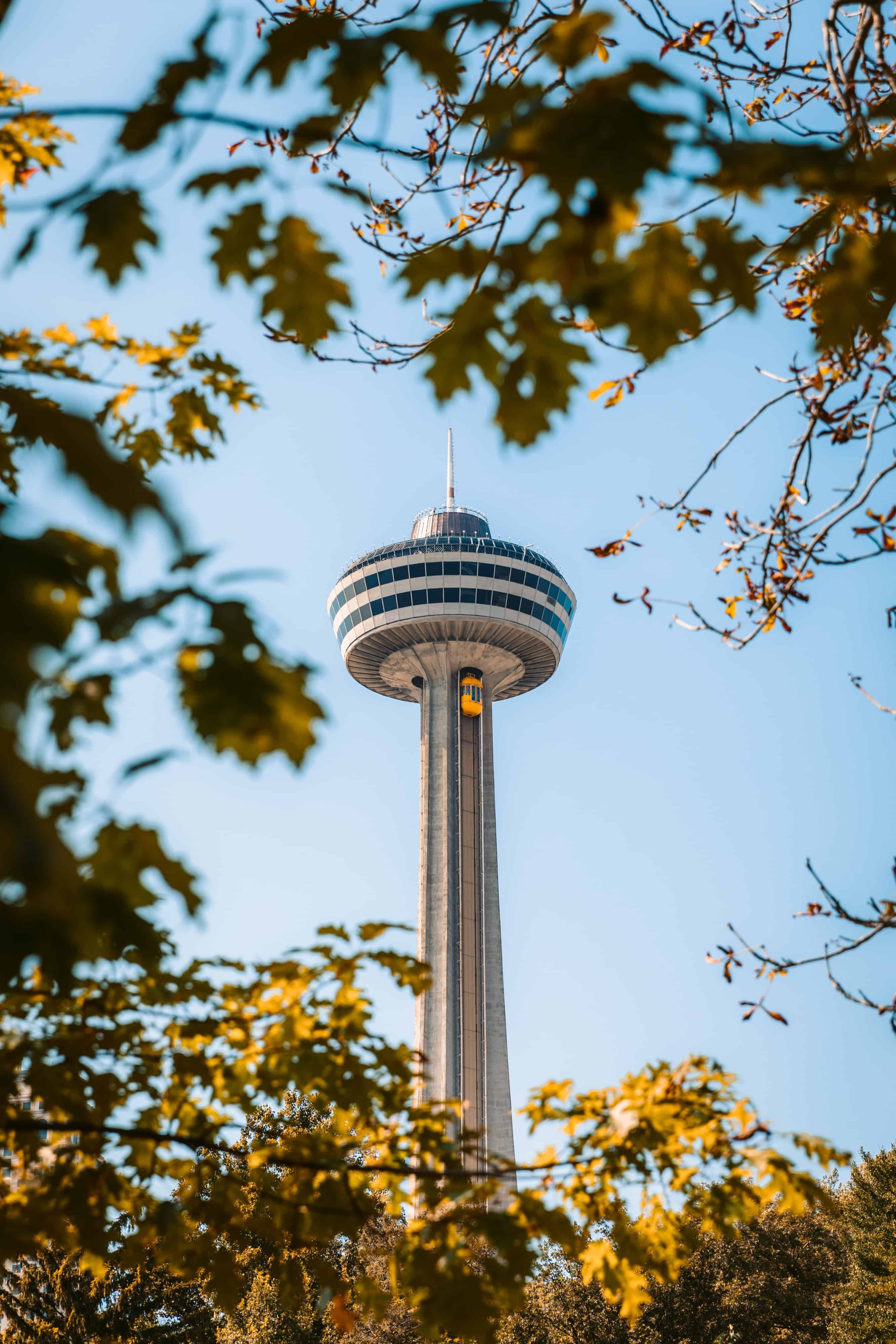 Skylon Tower in Canada sits against a blue sky and the is framed by green leaves on a tree branch.  Yellow leaves are at the bottom of the picture