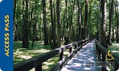 a paved pathway runs through a forest of trees. On the left side is a blue column with the words access pass written in it