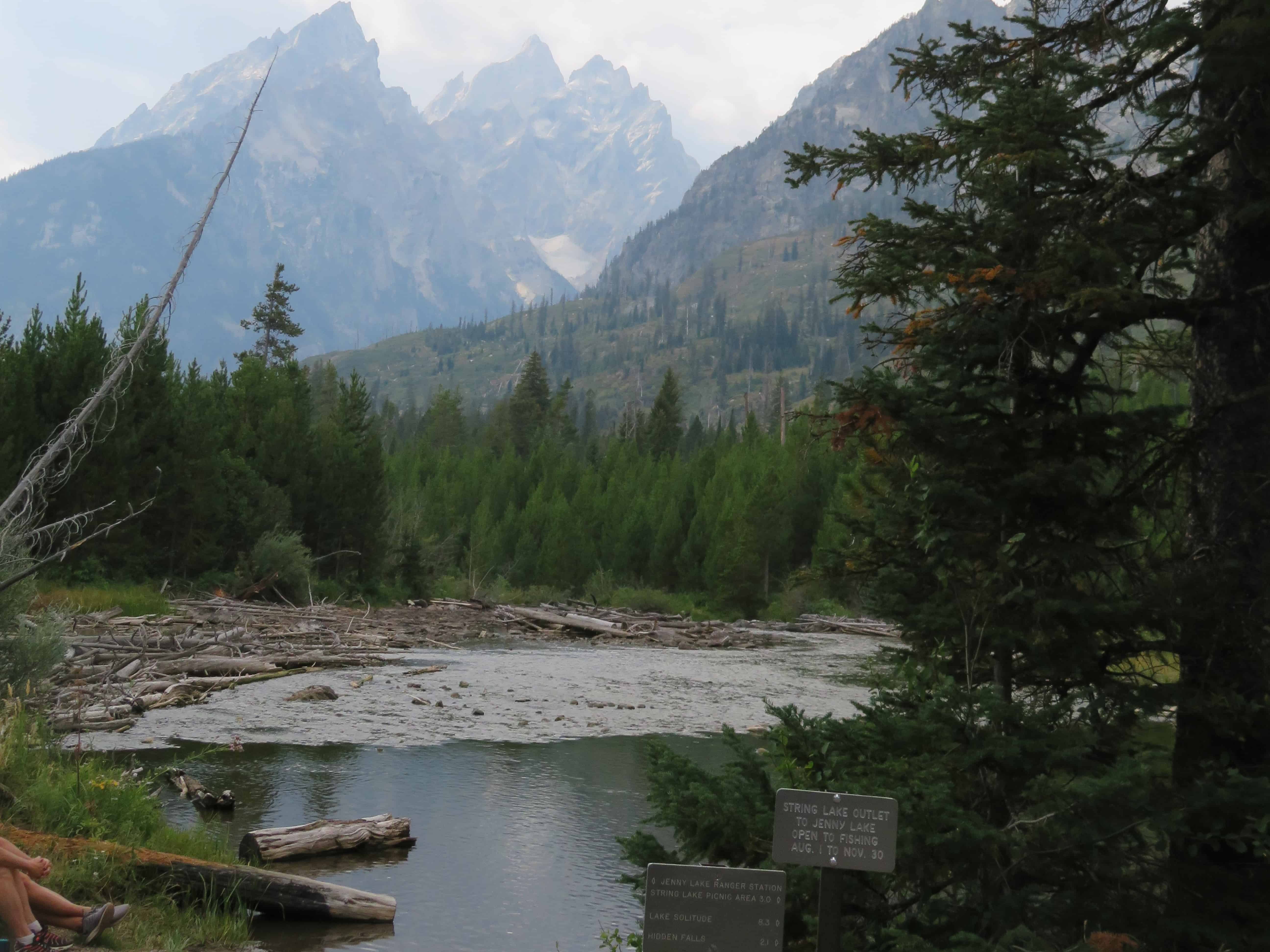 Pine trees frame the view of the Teton Mountains behind a lake along an accessible hiking trail.  Look for awesome accessible hikes when planning a trip to the national parks