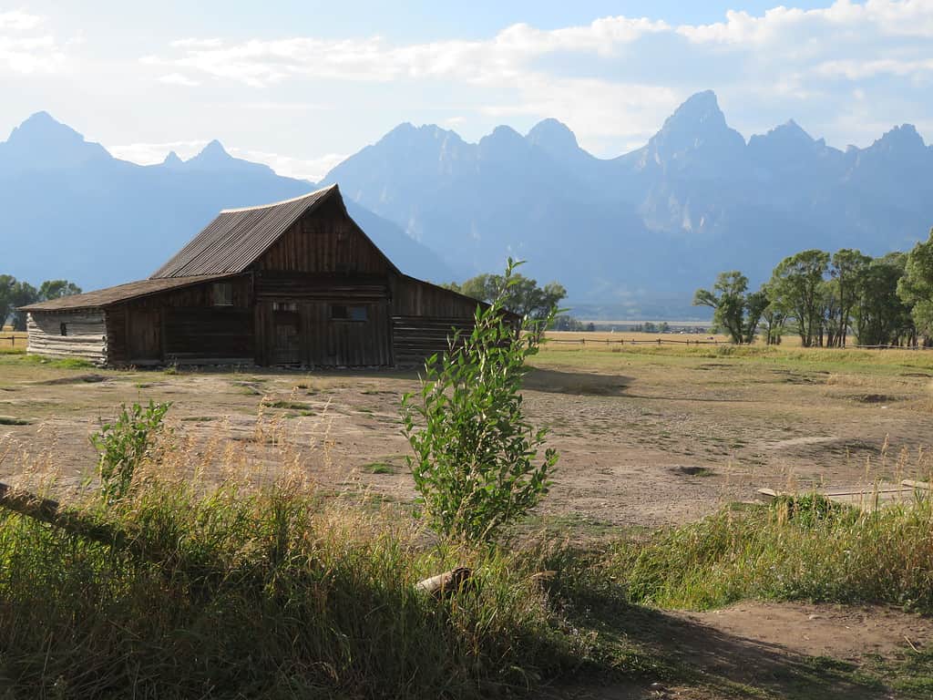 an old wooden barn with a pointed roof sits in a grassy field at the base of the Teton Mountains on Mormon Row in Grand Teton National Park