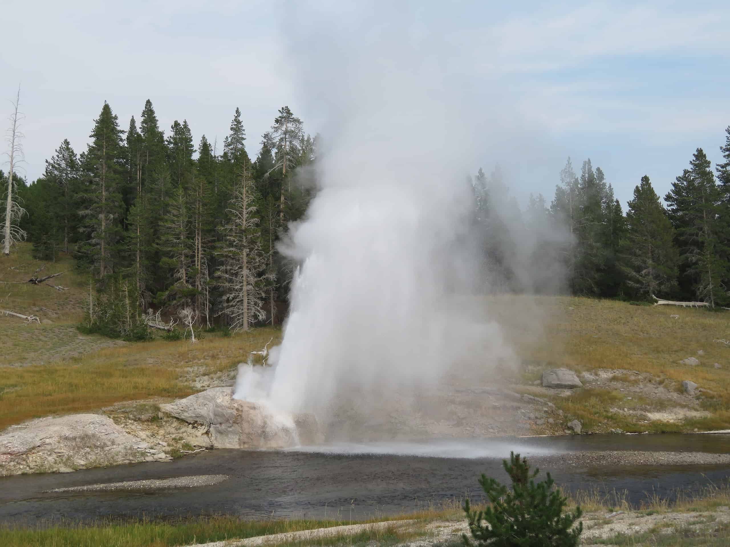 a geyser along the river in Yellowstone National Park erupts with water shooting 75 feet high