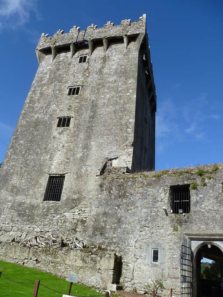 A square towered castle made from grey stone is Blarney Castle in Ireland.