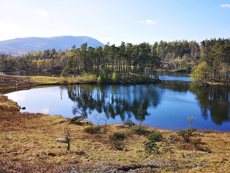 A blue lake has evergreen trees around it in England's lake district