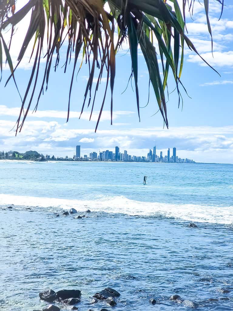 A lone paddle boarder is out on the blue waters with the skyline of a city in Australia behind them