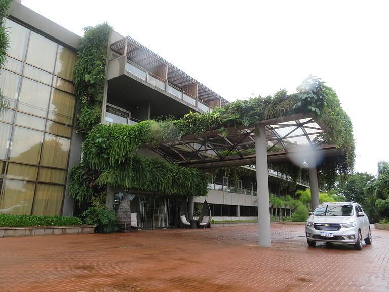 A gray four story building has a canopied entrance with flat entry way.  Green vines cover the cannopy and the sides of the building