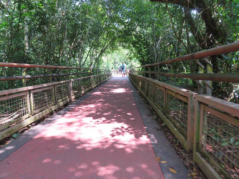 A red and black paved bridge has metal railings on either side and is part of the lower trail at Iguazu Falls