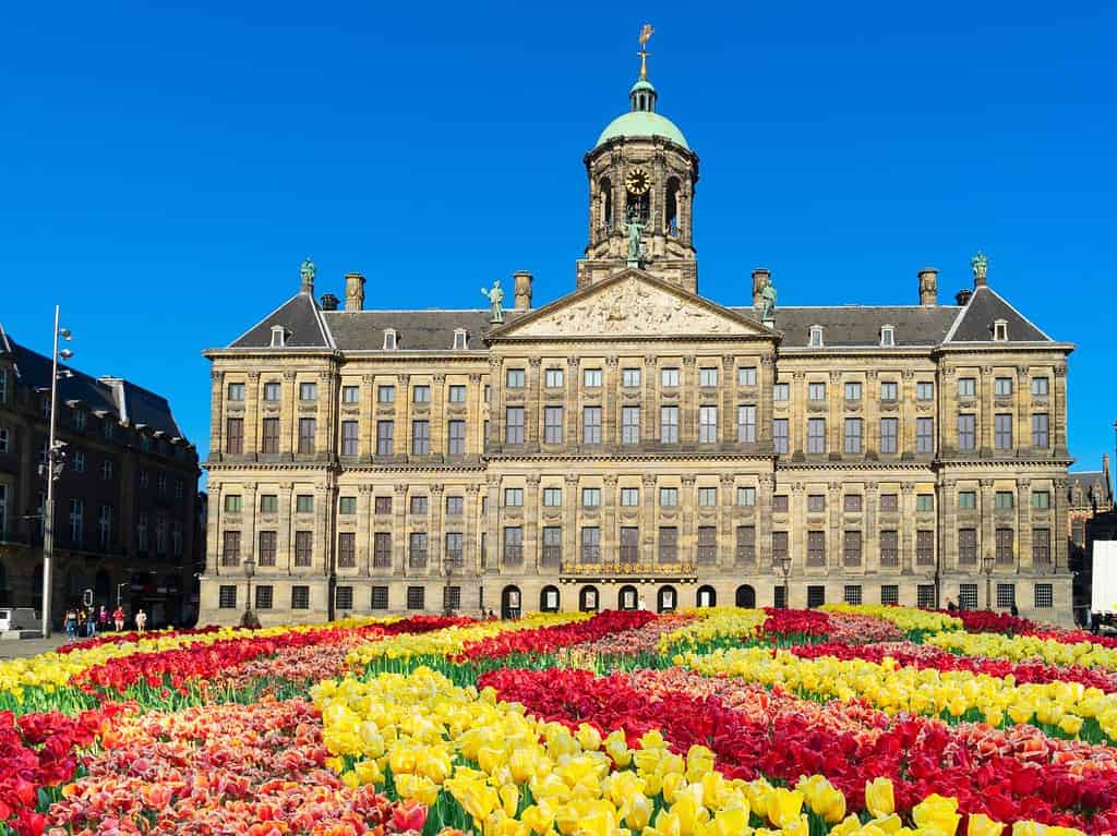 a large brown building with a green domed roof lies behind a field of tulips and is the royal palace in Amsterdam, a popular tourist attraction.