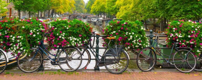 A bridge in Amsterdam is lined with colorful flowers and a series of bicycles.