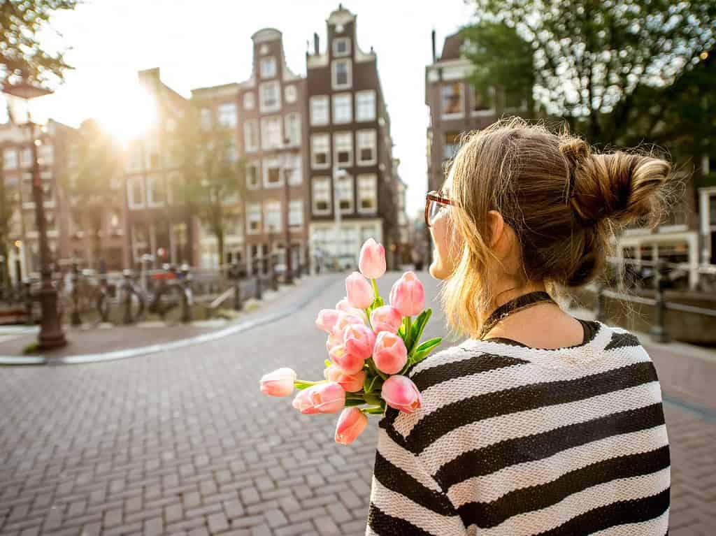 a woman in a black and white striped shirt holds pink tulips as she walks through Amsterdam, a popular tourist attraction.