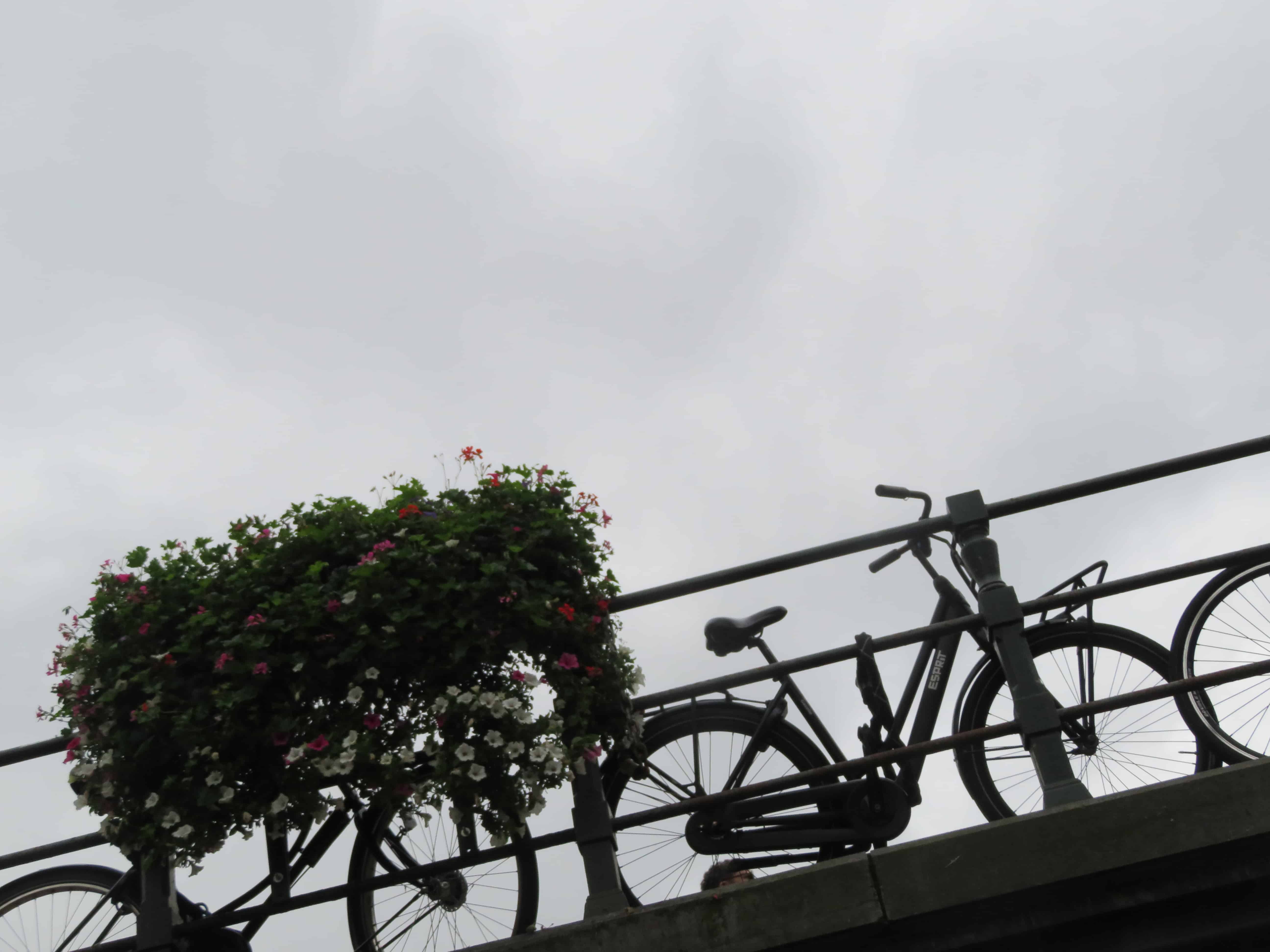 A bridge lined with bicycles in Amsterdam.