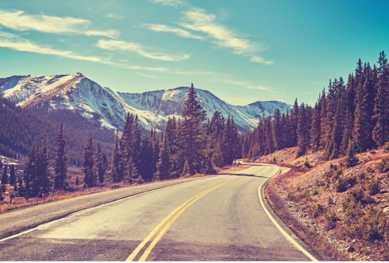 A road winds through pine trees with snowcapped mountains in the background.