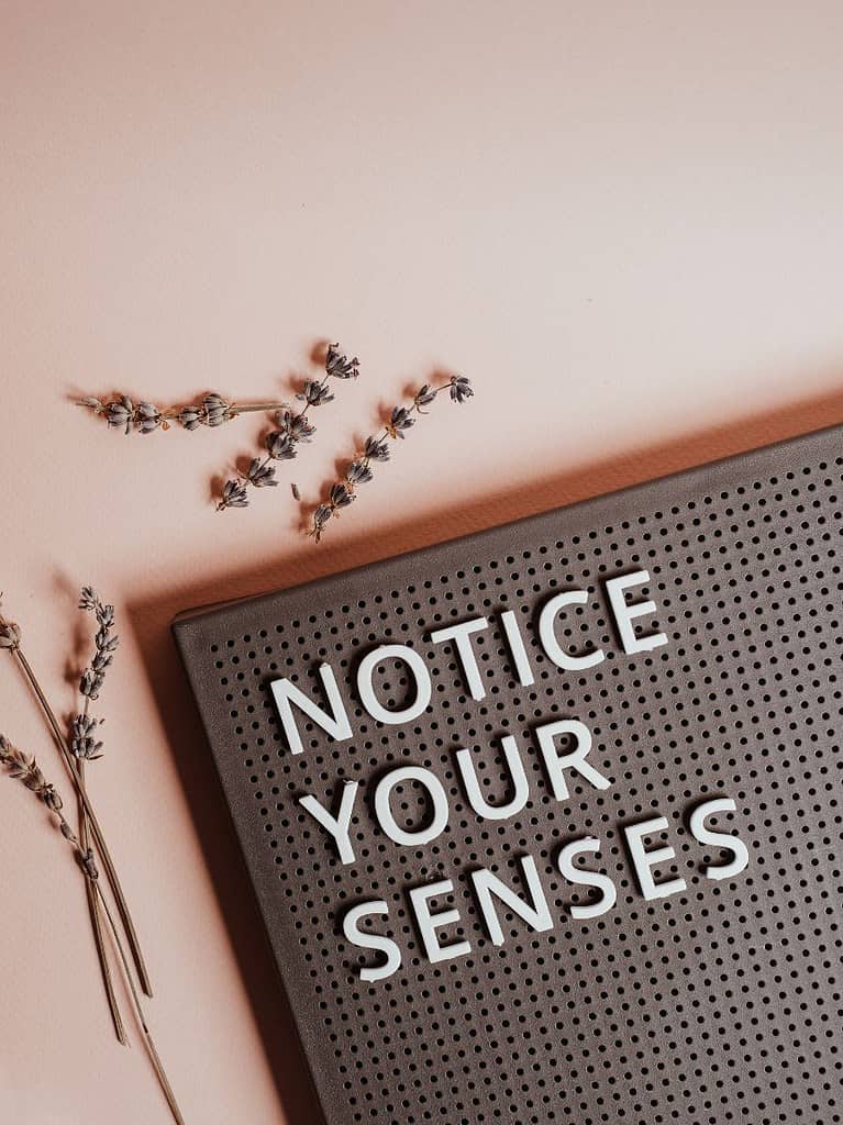 a light pink background with a dark brown board has white letters that say "notice your senses".