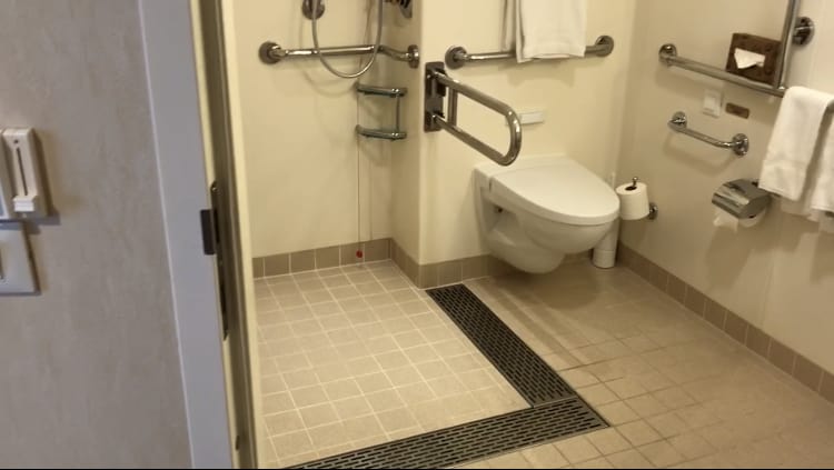 A wheelchair accessible bathroom with a roll-in shower next to a toilet that has a fold down grab bar on one side and a wall mounted grab bar on the other,