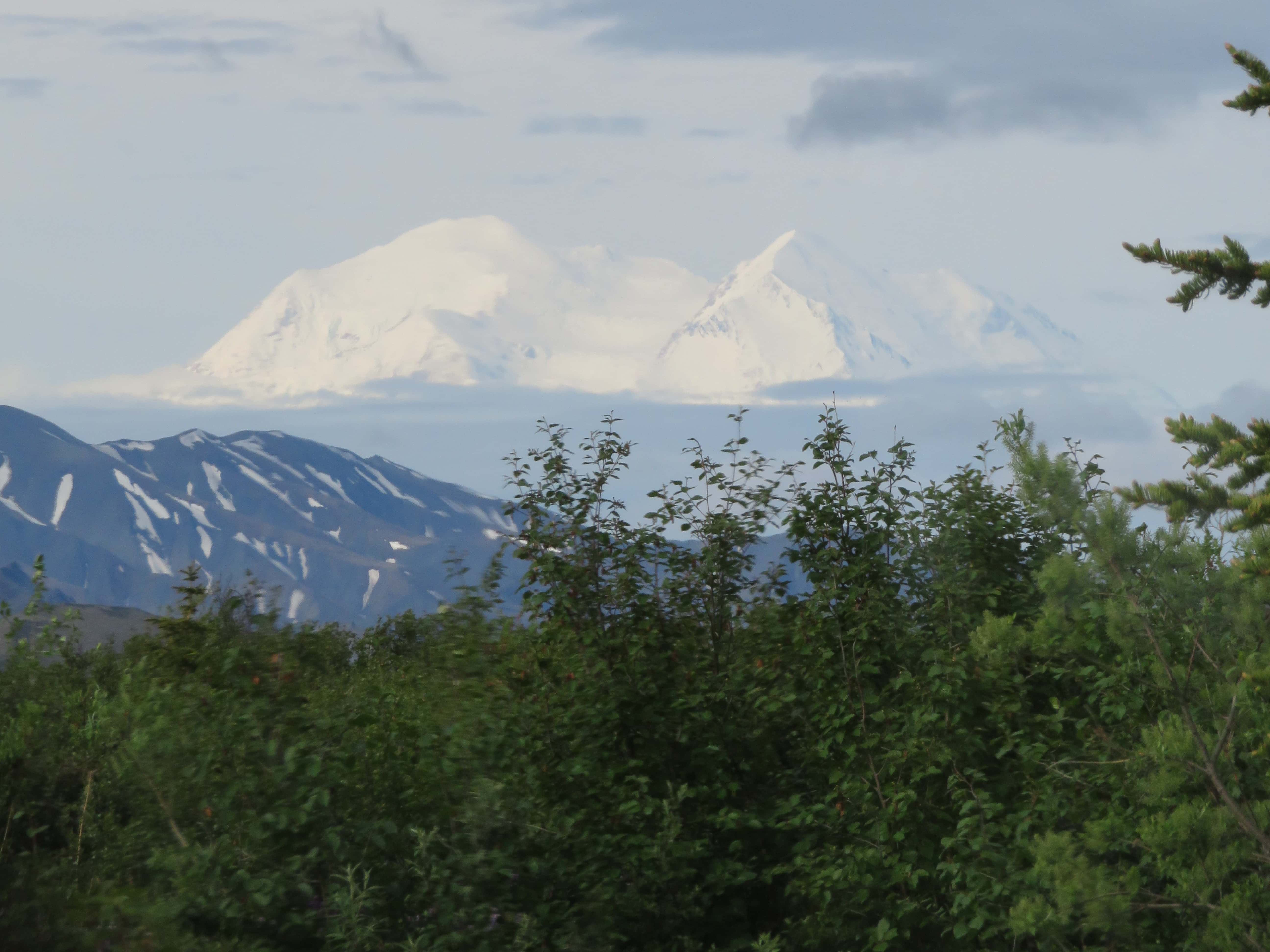 10 Things You Can't Miss On Your First Visit to Denali - Dirt In