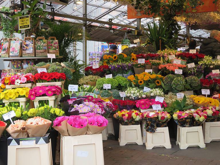 A famous flower market in Amsterdam has a variety of colorful flowers on display.