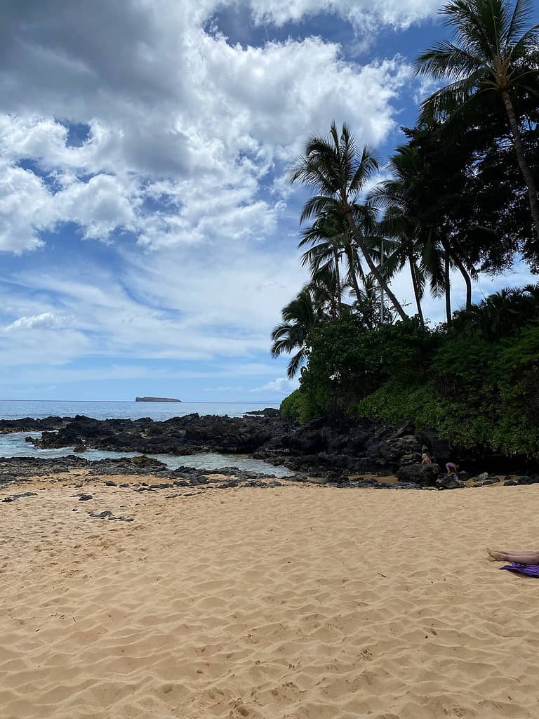 A beach in Maui has rocks surrounding the edge and palm trees on the right hanging over the water.