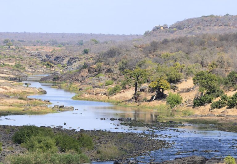 Kruger National Park in September has trees starting to grow green leaves while others are still bare.  A river runs through a grassy plain with trees alongside it.