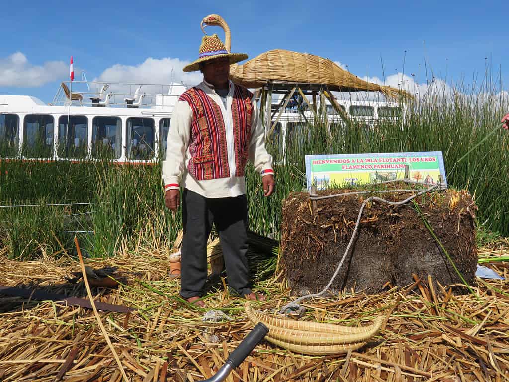 A Peruvian man dressed in black pants, a white shirt and red vest stands on a island made from reeds and demonstrates how the floating islands of Uros are formed.