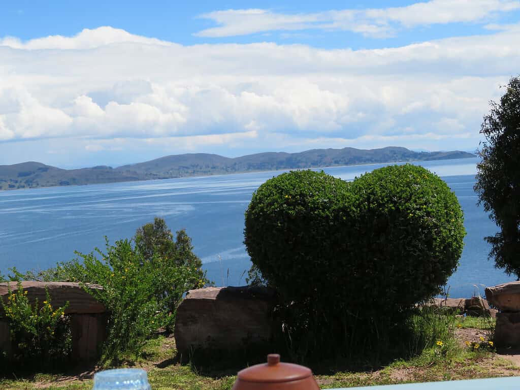 A shrub in the shape of a heart sits on the edge of a cliff with Lake Titicaca behind it.  On the lake, you can see an island in the distance.