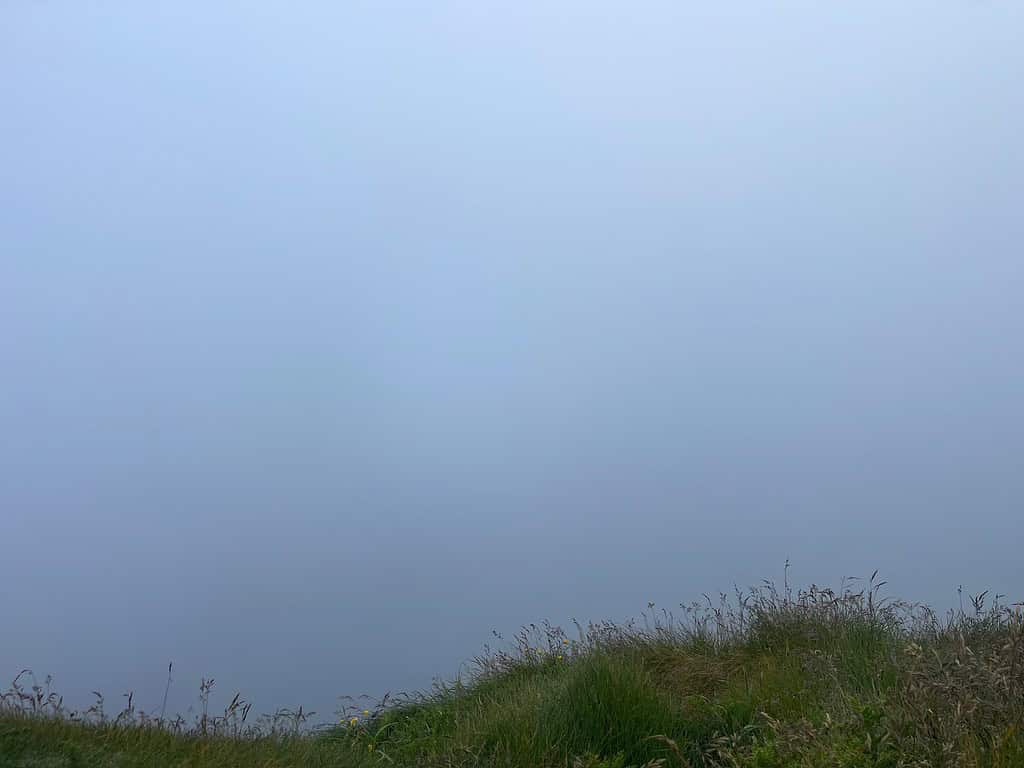 A green area of grass drops off to from a cliff but all you see beyond it is fog which obstructs the view of the Cliffs of Moher.