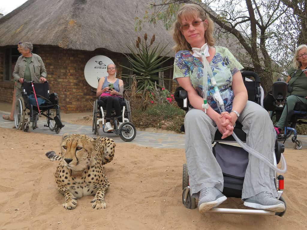 A white woman with blonde hair is sitting in a small powered wheelchair in the sand next to a cheetah who is being rehabilitated.