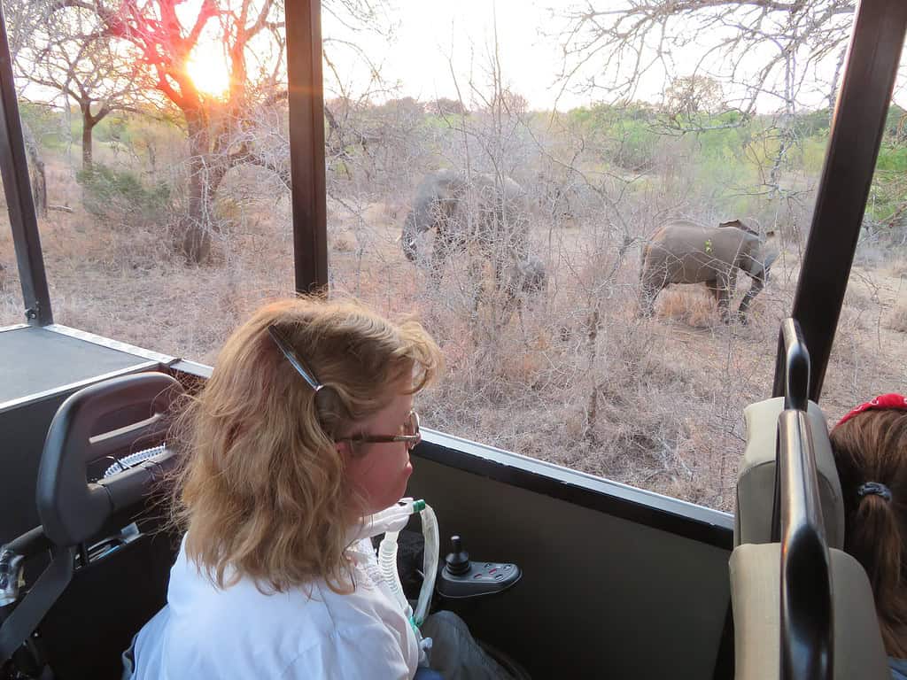 A blonde woman with glasses is sitting in a wheelchair in an open air safari vehicle looking out the window at elephants in South Africa.